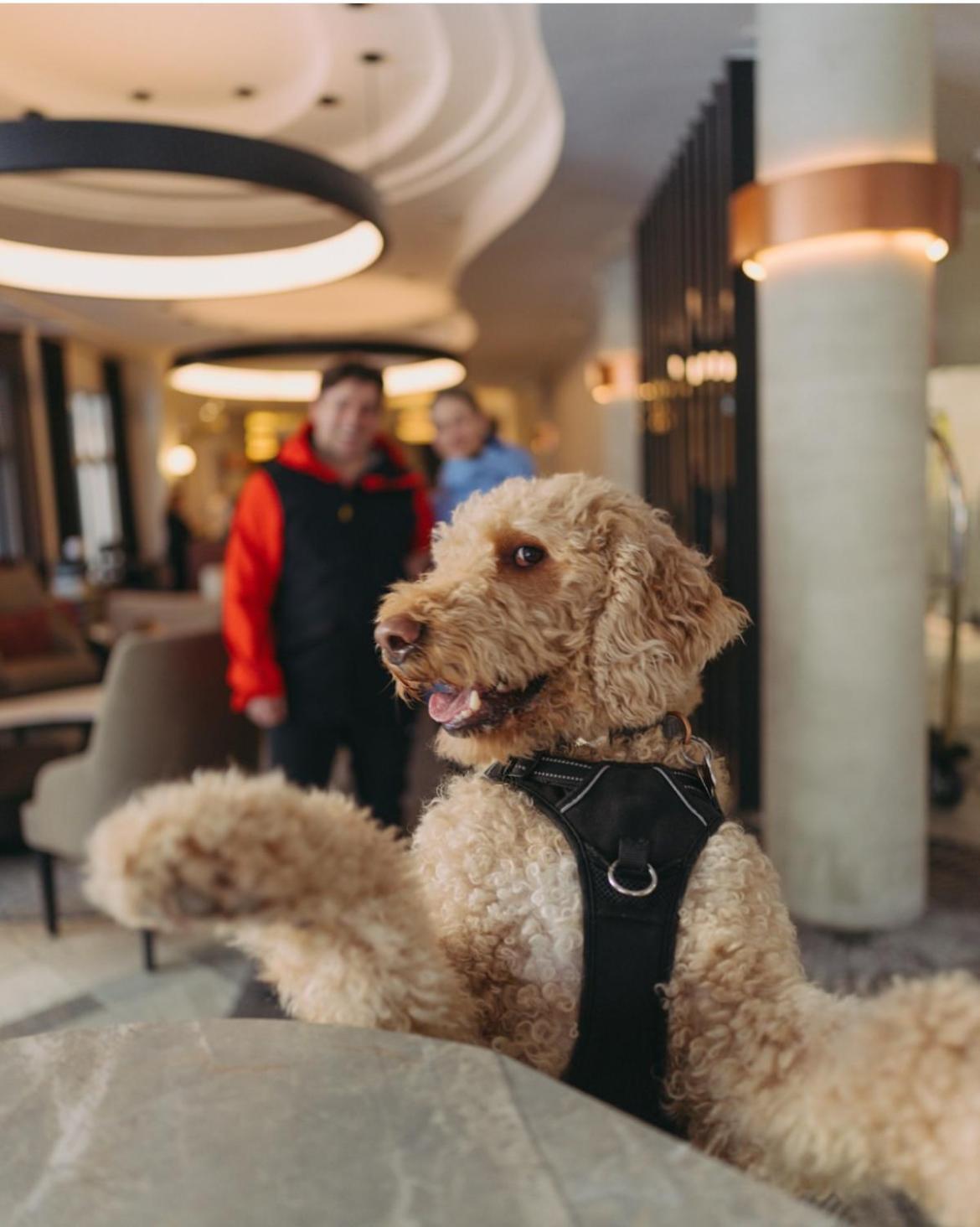 Le Westin Tremblant Hotell Mont-Tremblant Exteriör bild